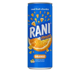 Rani Float 240ml No Sugar Orange
