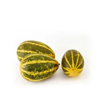 Cucumber Vellery