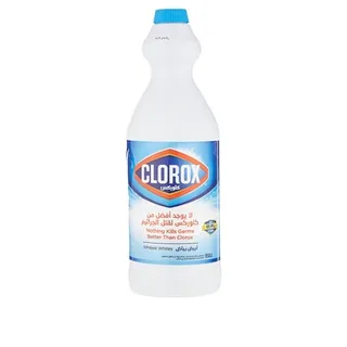 Clorox Liquid Bleach 950ml Kills 99.9% of Viruses and Bacteria 48 Hours Prevents Bacteria Growth Removes Stains