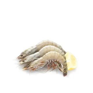 Shrimps 50/60