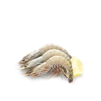 Shrimps 50/60
