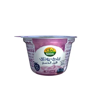 نادا يوناني يوغ بلوبيري 160g