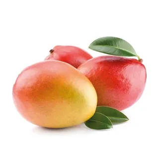 Mango Egypt