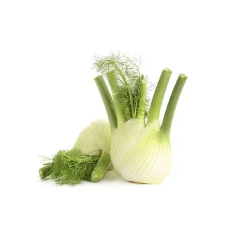 Fennel Holland