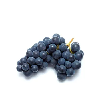 Grapes Black Seeded South Africa