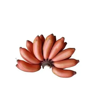 Banana Red Poovan India
