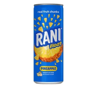 Rani Float 240ml No Sugar Pineapple