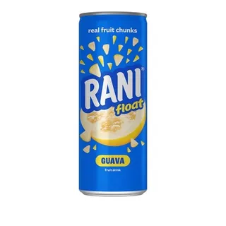 Rani Float Guava 240ml