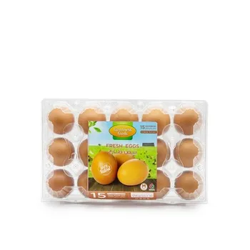 Goodness Foods Brown Fresh Eggs 15s