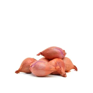 Shallot Holland