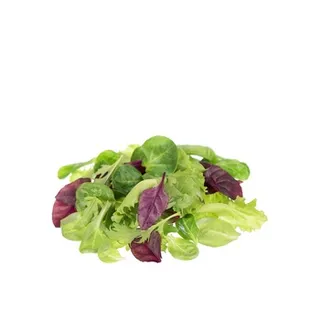 Mesclum Organic Italy ≈ 125g