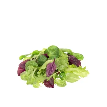 Mesclum Organic Italy ≈ 125g