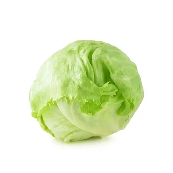 Lettuce Iceberg Holland/Spain