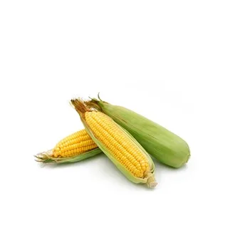 ذرة حلوة محلية ≈ 500g