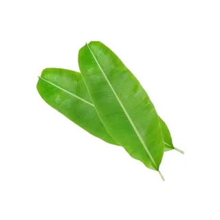 Banana Leaves India