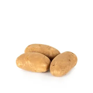 Potato Idadho Usa