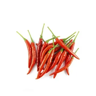 Chilli Red Long Holland