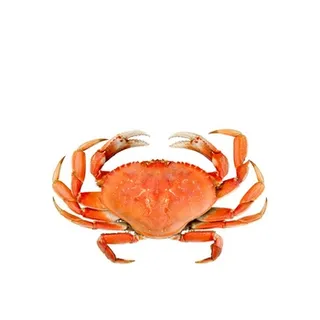 Crab