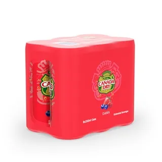 Canada Dry Dana Fruit 250ml Pack of 6