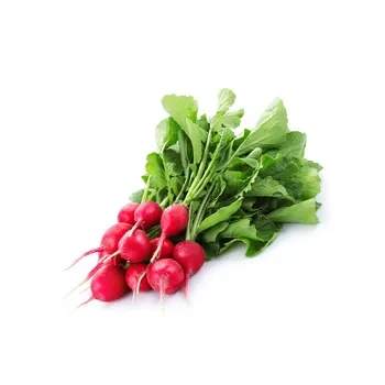 Radish Red Local With Leaves