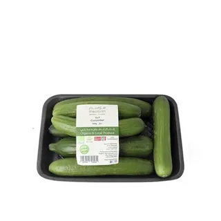 Cucumber Organic ≈ 500g