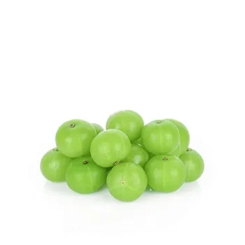 Gooseberry (Amla) India