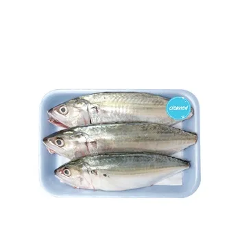 Mackeral Cleaned