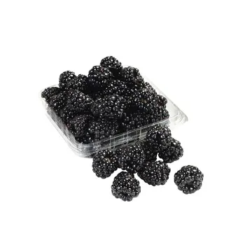 Blackberry 170g
