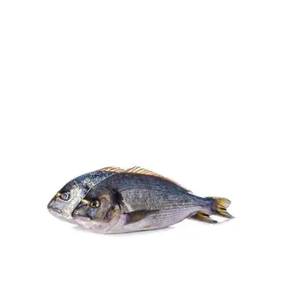 Fresh Sea Bream Fish