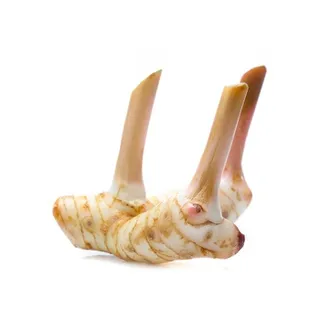 Galangal Thailand