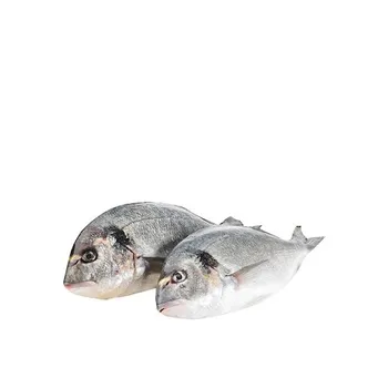 Organic Seabream