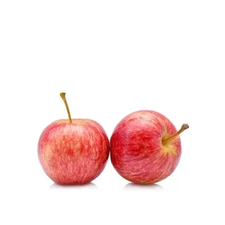 Apple Royal Gala France