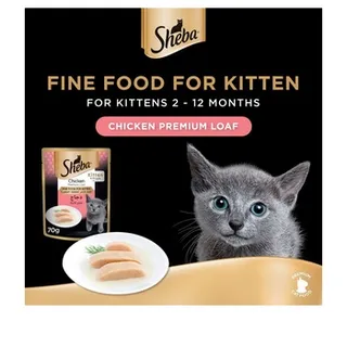 Sheba Chicken Premium Loaf Kitten Food 70g x Pack Of 12