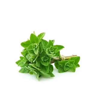 Oregano Fresh Pack Kenya ≈ 20g