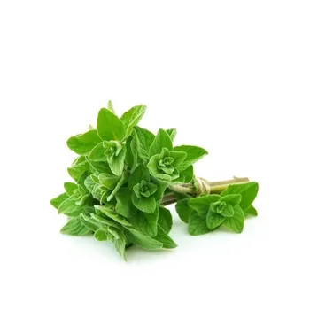 Oregano Fresh Pack Kenya ≈ 20g
