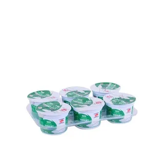 Al Ain Natural Yoghurt (6X100g)