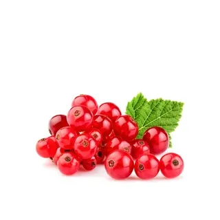 Red Currant Holland ≈ 125g
