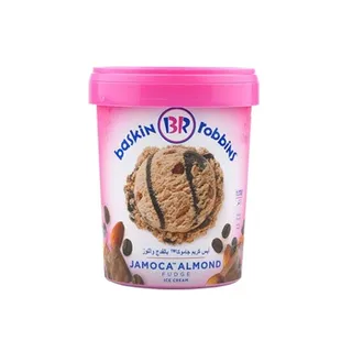 Baskin Robbins Jamoca Almond Fudge Ice Cream 1L