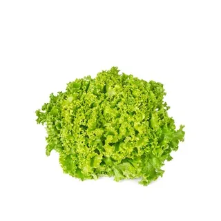 Live Lettuce Lollo Bionda 180g ≈ 200g UAE
