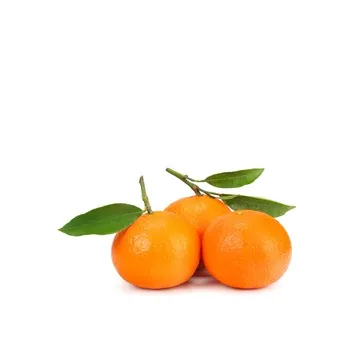 Clementine South Africa