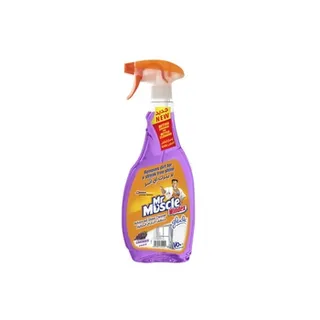 Windex Glass Cleaner Lavender 750ml