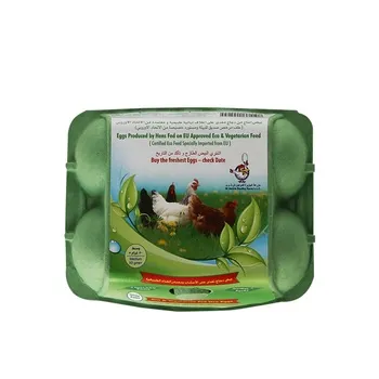 Eco & Vegetarian Fed Hen White Eggs 6pcs
