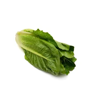 Lettuce Iran