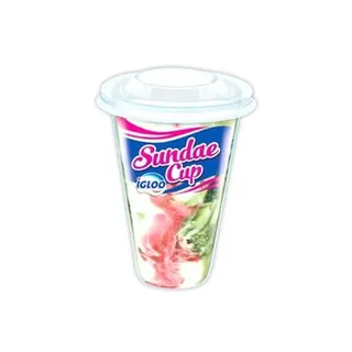 Igloo Sundae Cup Ice Cream 100ml