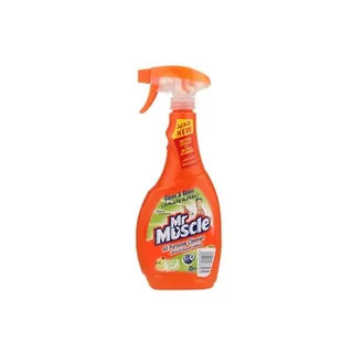 Mr. Muscle 5 In 1 All Purpose Cleaner 500ml