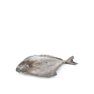 Black Pomfret Mix