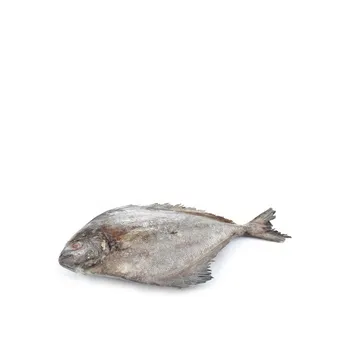 Black Pomfret Mix