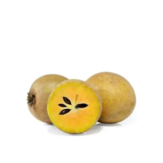 Chikoo India (Sapodilla)