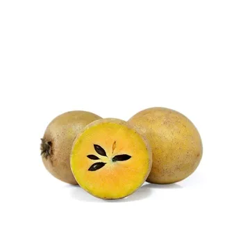 Chikoo India (Sapodilla)