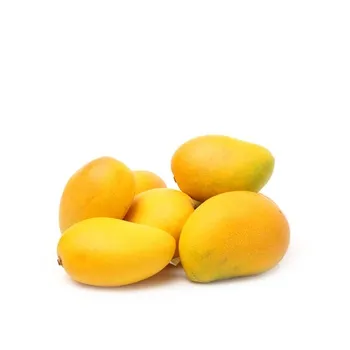 Mango Alphonso Ratnagiri India
